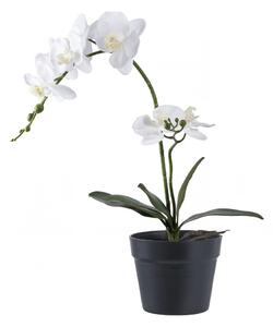 Umělá orchidej, zeleno-bílá, výška 49 cm – House Nordic