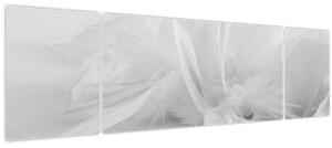 Obraz - Peří (170x50 cm)