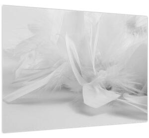 Obraz - Peří (70x50 cm)