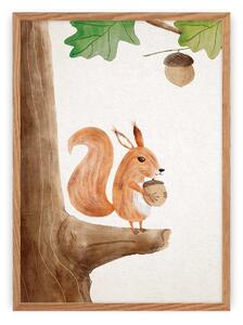 Obrázek Forest Story Squirrel