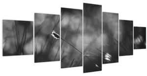 Obraz - Luční tráva (210x100 cm)