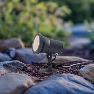 BEGA LED venkovní reflektor 85009, grafit, hliníkový odlitek, zástrčka, Černá, Hliník