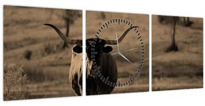 Obraz - Texaská kráva (s hodinami) (90x30 cm)