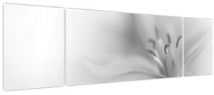 Obraz - Jemná lilie (170x50 cm)
