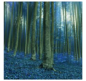 Obraz - Modrý les (30x30 cm)