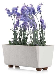PLASTOVÝ KVĚTINÁČ SALVIA TX 28,5X17 CM KRÉMOVÁ