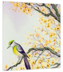 Obraz - Akvarelový ptáček na stromě (30x30 cm)