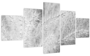 Obraz - Pampas grass N⁰1 (125x70 cm)