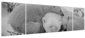 Obraz - Lední medvídci, černobílá (170x50 cm)