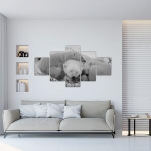 Obraz - Lední medvídci, černobílá (125x70 cm)