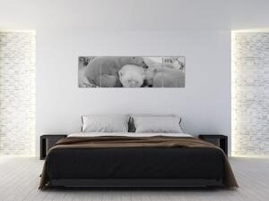 Obraz - Lední medvídci, černobílá (170x50 cm)