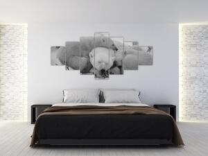 Obraz - Lední medvídci, černobílá (210x100 cm)