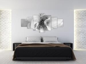Obraz - Květ, černobílá (210x100 cm)