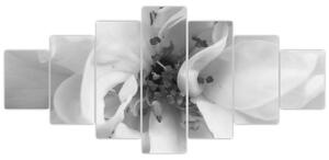 Obraz - Květ, černobílá (210x100 cm)