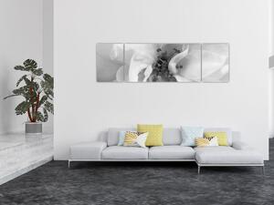 Obraz - Květ, černobílá (170x50 cm)