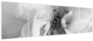 Obraz - Květ, černobílá (170x50 cm)