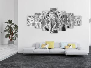 Obraz - Zmrzlé listy, černobílá (210x100 cm)