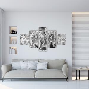Obraz - Zmrzlé listy, černobílá (125x70 cm)