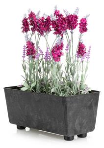 PLASTOVÝ KVĚTINÁČ SALVIA 28,5X17 CM IMITACE BETONU ČERNÁ