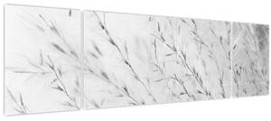 Obraz - Pampas grass N⁰2 (170x50 cm)