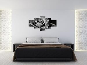 Obraz - Růže, černobílá (125x70 cm)