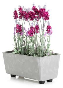 PLASTOVÝ KVĚTINÁČ SALVIA 28,5X17 CM IMITACE BETONU ŠEDÁ