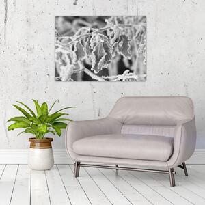 Obraz - Zmrzlé listy, černobílá (70x50 cm)