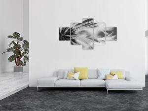Obraz - Makro, černobílá (125x70 cm)