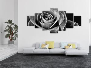 Obraz - Růže, černobílá (210x100 cm)