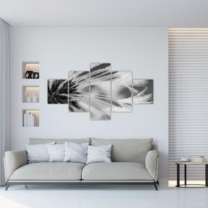 Obraz - Makro, černobílá (125x70 cm)