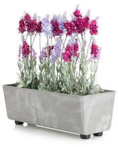 PLASTOVÝ KVĚTINÁČ SALVIA 37,5X17 CM IMITACE BETONU ŠEDÁ