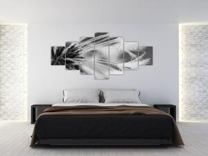 Obraz - Makro, černobílá (210x100 cm)