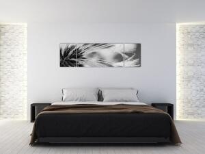 Obraz - Makro, černobílá (170x50 cm)