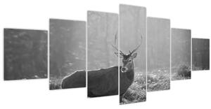Obraz - Jelen v lese, černobílá (210x100 cm)