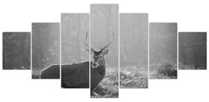 Obraz - Jelen v lese, černobílá (210x100 cm)