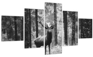 Obraz - Jelen v lese 2, černobílá (125x70 cm)