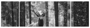 Obraz - Jelen v lese 2, černobílá (170x50 cm)