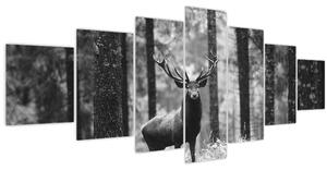 Obraz - Jelen v lese 2, černobílá (210x100 cm)