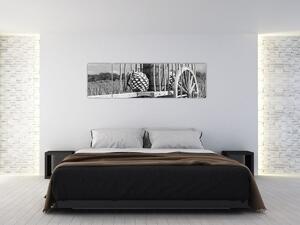 Obraz - Přívěsný vozík, černobílá (170x50 cm)