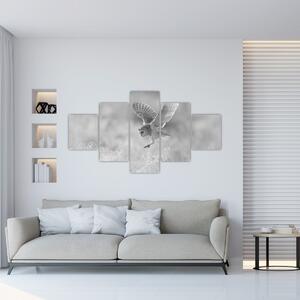 Obraz - Sova, černobílá (125x70 cm)