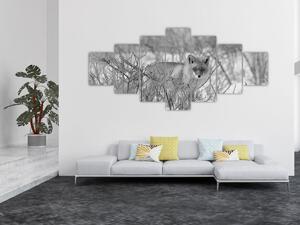 Obraz - Lišák, černobílá (210x100 cm)