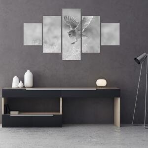 Obraz - Sova, černobílá (125x70 cm)