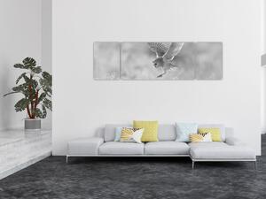 Obraz - Sova, černobílá (170x50 cm)