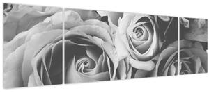 Obraz - Růže, černobílá (170x50 cm)