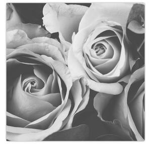 Obraz - Růže, černobílá (30x30 cm)