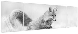 Obraz - Skákající liška, černobílá (170x50 cm)