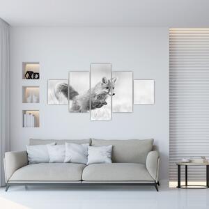 Obraz - Skákající liška, černobílá (125x70 cm)