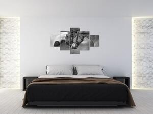 Obraz - Zamilovaní koni, černobílá (125x70 cm)