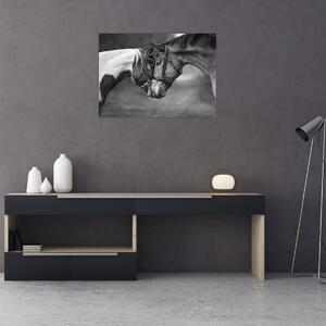 Obraz - Zamilovaní koni, černobílá (70x50 cm)