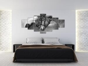 Obraz - Zamilovaní koni, černobílá (210x100 cm)
